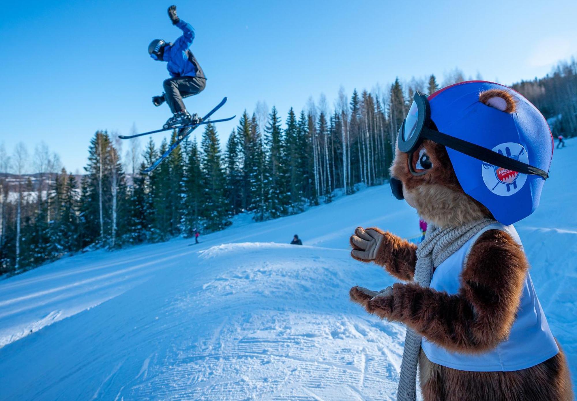 Hassela Ski Resort Extérieur photo
