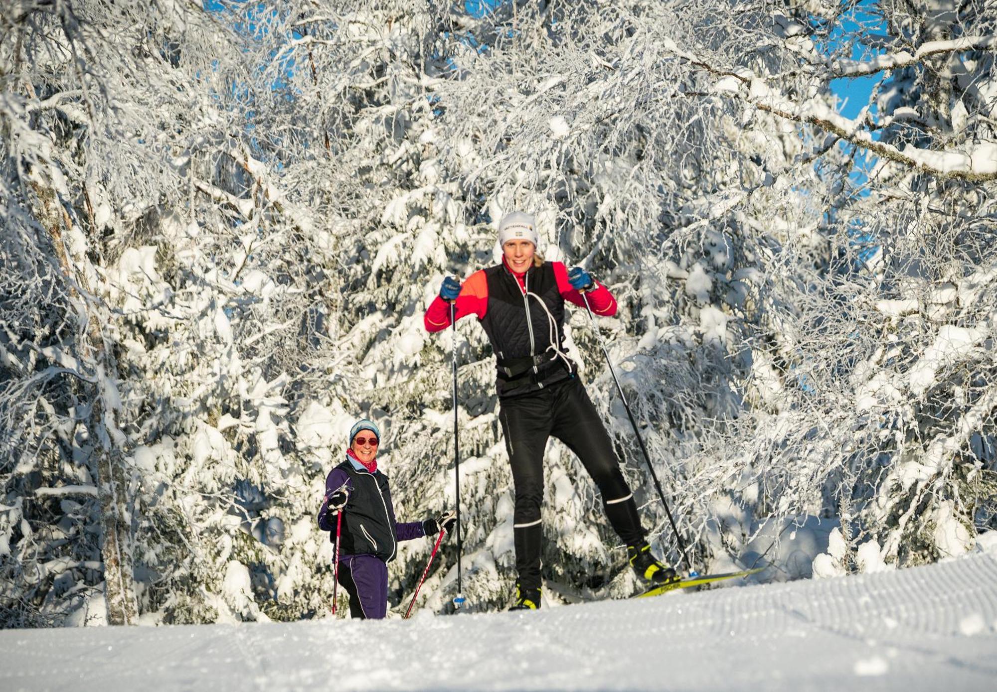 Hassela Ski Resort Extérieur photo