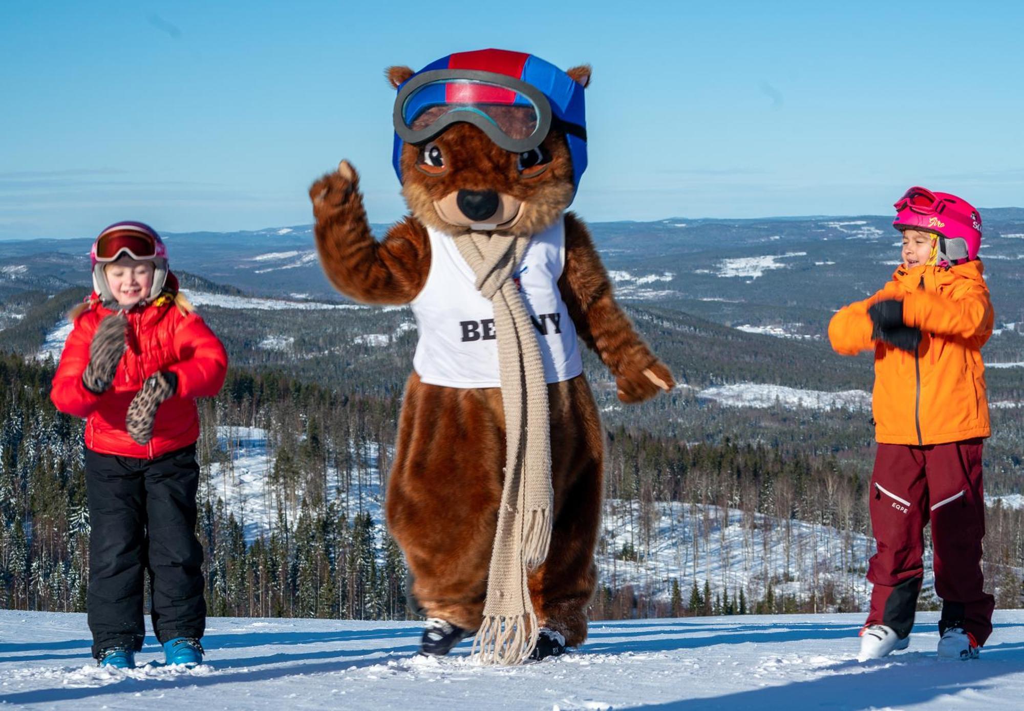Hassela Ski Resort Extérieur photo